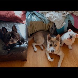 Meet your Posher, Alexei